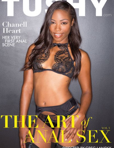    3 / The Art Of Anal Sex 3 (2016)